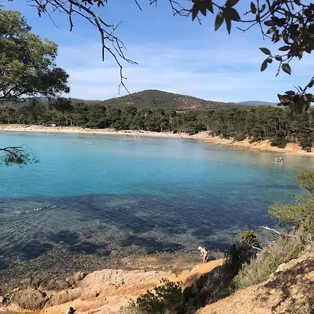 Agreable T3, Les Mimosas